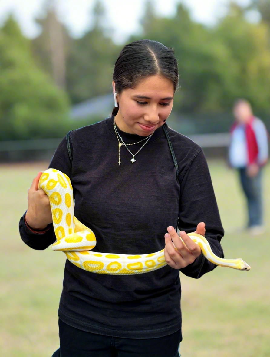 Reptiles at your event